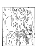 A coloring page of sea animal